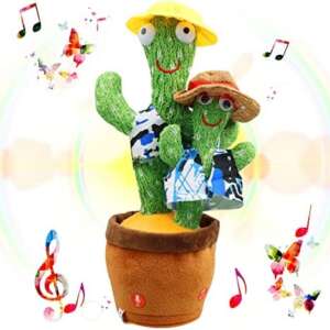 CACTUS DOBLE BAILARIN